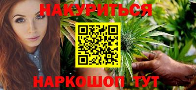 крисы Гай