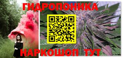 крисы Гай