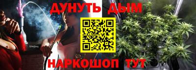 крисы Гай