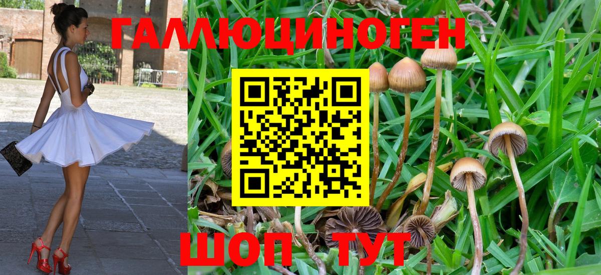 Галлюциногенные грибы Magic Shrooms Чусовой